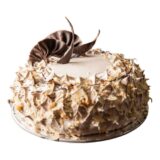 Chocowalnut Cake