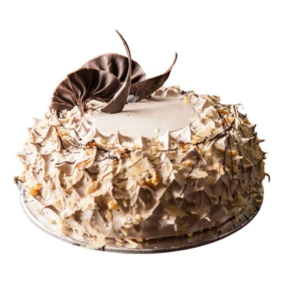 Chocowalnut Cake